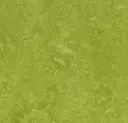 Linoleum Marmoleum Fresco 2,5 – green