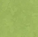 Linoleum Marmoleum Sport 4,0 – green