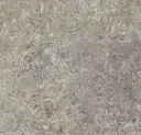 Linoleum Marmoleum Vivace 2,5   – surprising storm