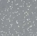 Sphera SD – dark neutral grey