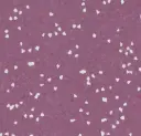 Sphera SD – amethyst