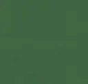 Teppichbahnen Flotex Artline Colour   – evergreen / 0,11