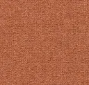 Teppichfliese Schlinge Tessera Layout und Outline Fliesen  – papaya