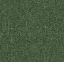 Teppichfliese Schlinge Tessera Layout und Outline Fliesen  – spruce