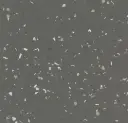 Sphera Energetic – shimmer ebony