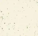 Sphera Energetic – shimmer lace