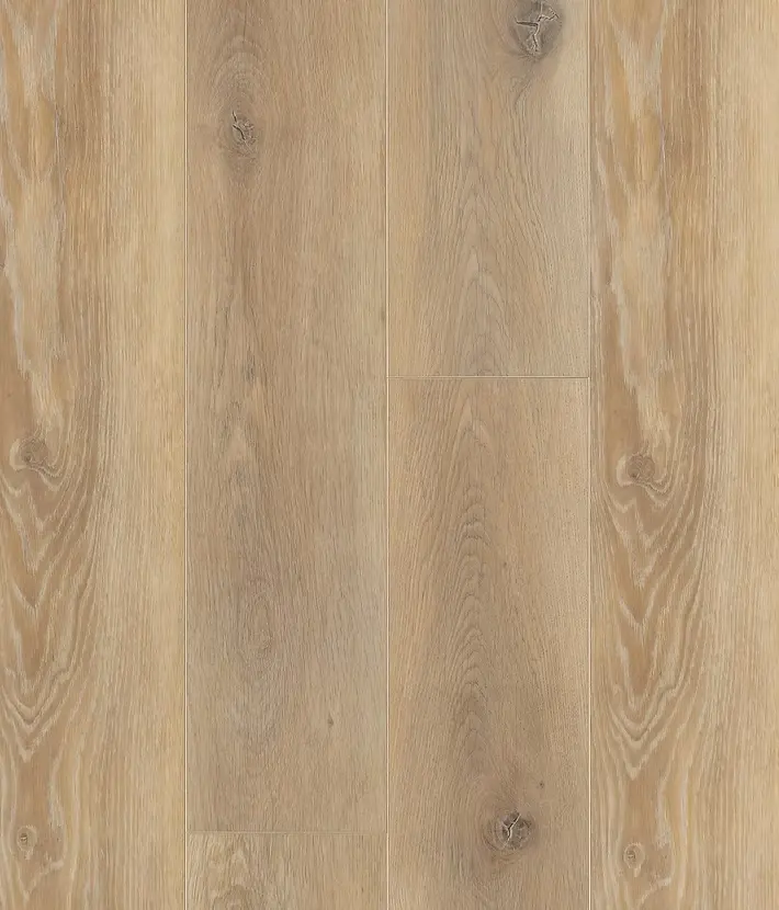 Produktbild – Bordo 55 Dryback  – Guadeloupe 14