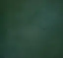 SBR Rampen SBR  – Green SBR