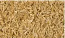 Eingangsmatte Logomatte Outdoor – 660