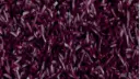 Eingangsmatte Logomatte Outdoor – 638
