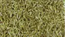 Eingangsmatte Logomatte Outdoor – 641