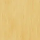 Vylon Plus Homogenbelag – Vylon CANARY 0597