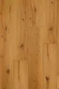 Primus Dryback XL Saxon Oak Fuego – Primus Dryback XL Saxon Oak Fuego