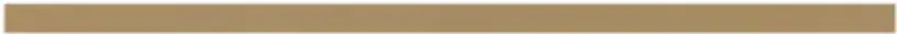 Produktbild – Amtico Akzentstreifen 9,5 – Polished Gold