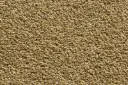 Teppichfliese Velours Tampa – 51