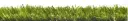 Rasenteppich Blossom 35 – 4m