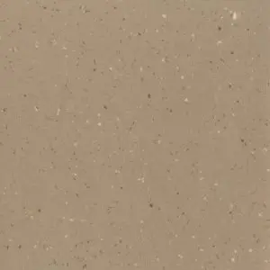 Produktbild – Cyrene Silver Knight  – Peanut