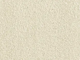 Produktbild – Amelie Veloursteppich Raummass mit Paspelband – 4m / 6D04