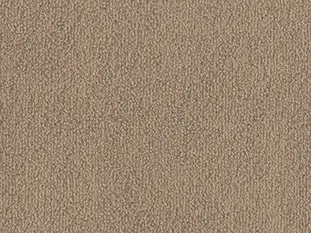 Produktbild – Safira Veloursteppich Raummass gekettelt – 4m / 8L37