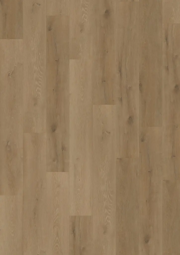 Produktbild – Workshop 55 Concept Dryback Wood – Prestige Oak Light amber