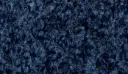 Logomatte Eingangsmatte Indoor – 623 / mit Trittrand