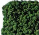 Evergreen Moos Premium mit Logo – moosgrün
