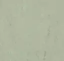 Linoleum Marmoleum Neutral Accent Modular 50 x 50  – Fresh Tyme