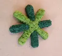 Evergreen Moos Premium Logos kantenbeklebt Stück – Evergreen Moos Premium Logos kantenbeklebt Stück