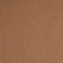 Radici Nexus Veloursteppich – 4m / BISCOTTO_2407