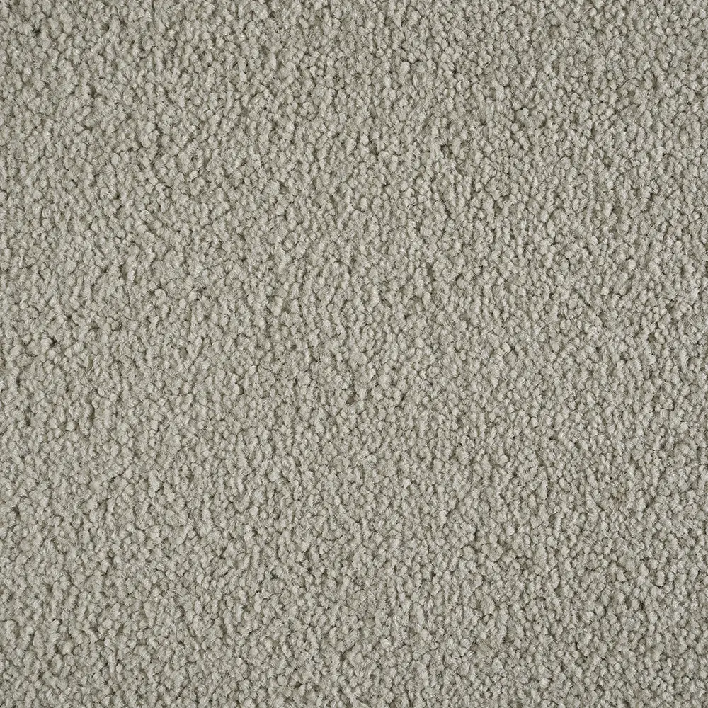 Produktbild – Radici Sydney Veloursteppich  – Dune 2601 / 4m