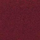 Teppichfliese Maxima Schlinge   – 12
