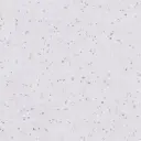 Performance 70 Project Collection Loose Lay Design Fliese Stone XL – GT 30058  50058  70058 / 457,2 x 914,4