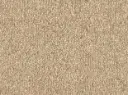 Celina Veloursteppich  – 4m / 8L49