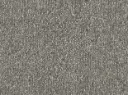 Celina Veloursteppich Raummass – 4m / 55A7