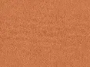 Barista Veloursteppich Raummass – 4m / 1Q09