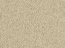 Violetta Veloursteppich Raummass – 5m / 8L38