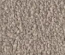 Violetta Veloursteppich Raummass mit Paspelband – 5m / 54A9