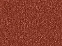 Safira Veloursteppich Raummass – 4m / 1N27
