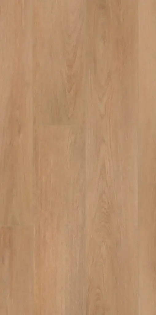 Produktbild – Maximus Dryback Velvet Oak – Celeste