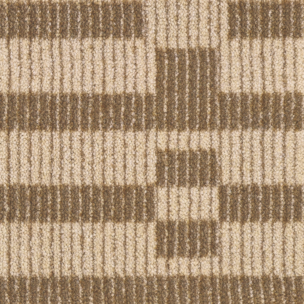 Produktbild – Radici David Veloursteppich – 4m / Nougat