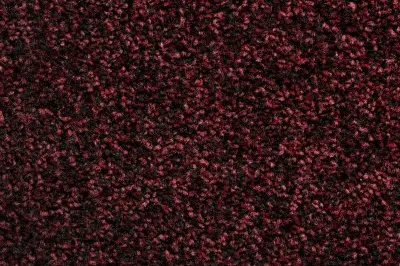 Produktbild – Veloursteppich Tampa