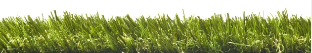 Produktbild – Rasenteppich Blossom 35 – 2m