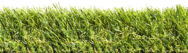 Produktbild – Rasenteppich Impress 60 – 2m