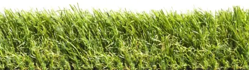 Produktbild – Rasenteppich Impress 60