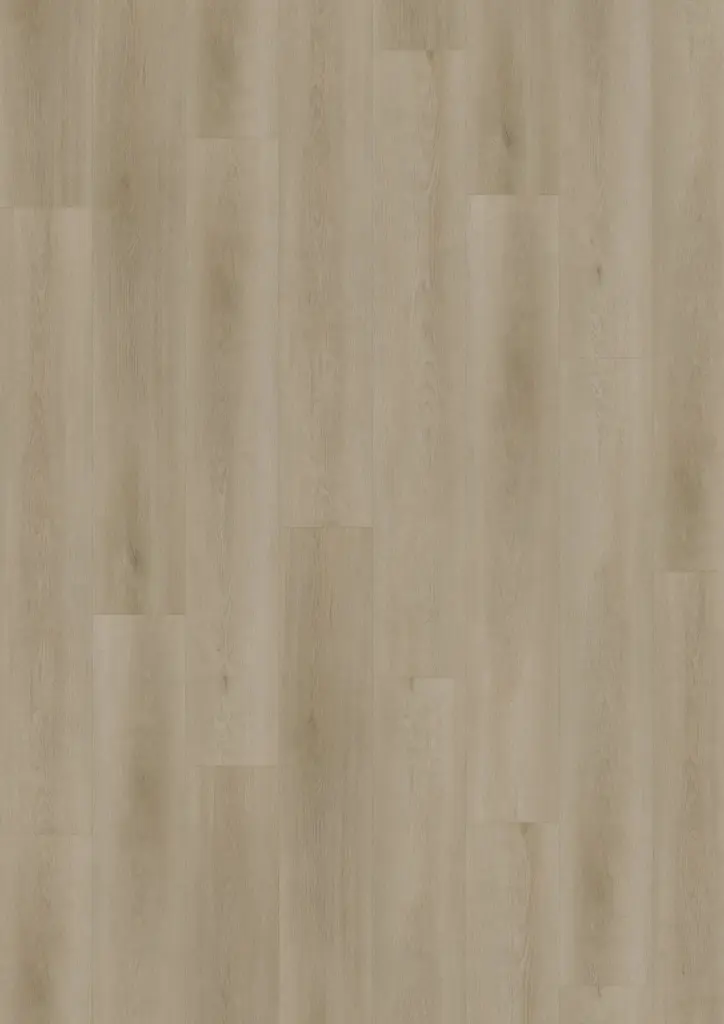 Workshop 55 Concept Click Wood