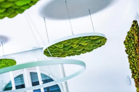 Produktbild – Deckensegel Hügel Moos Premium