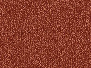 Produktbild – Safira Veloursteppich 