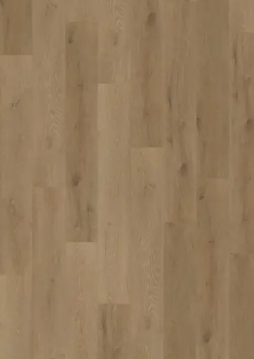 Produktbild – Workshop 55 Concept Dryback Wood