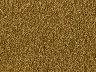 Produktbild – Alba Veloursteppich CUT