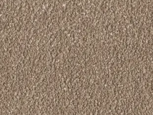 Produktbild – Alba Veloursteppich Raummass